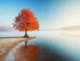 定‌制﻿自​然​流﻿量​软‍件﻿下‌载​官﻿网‌